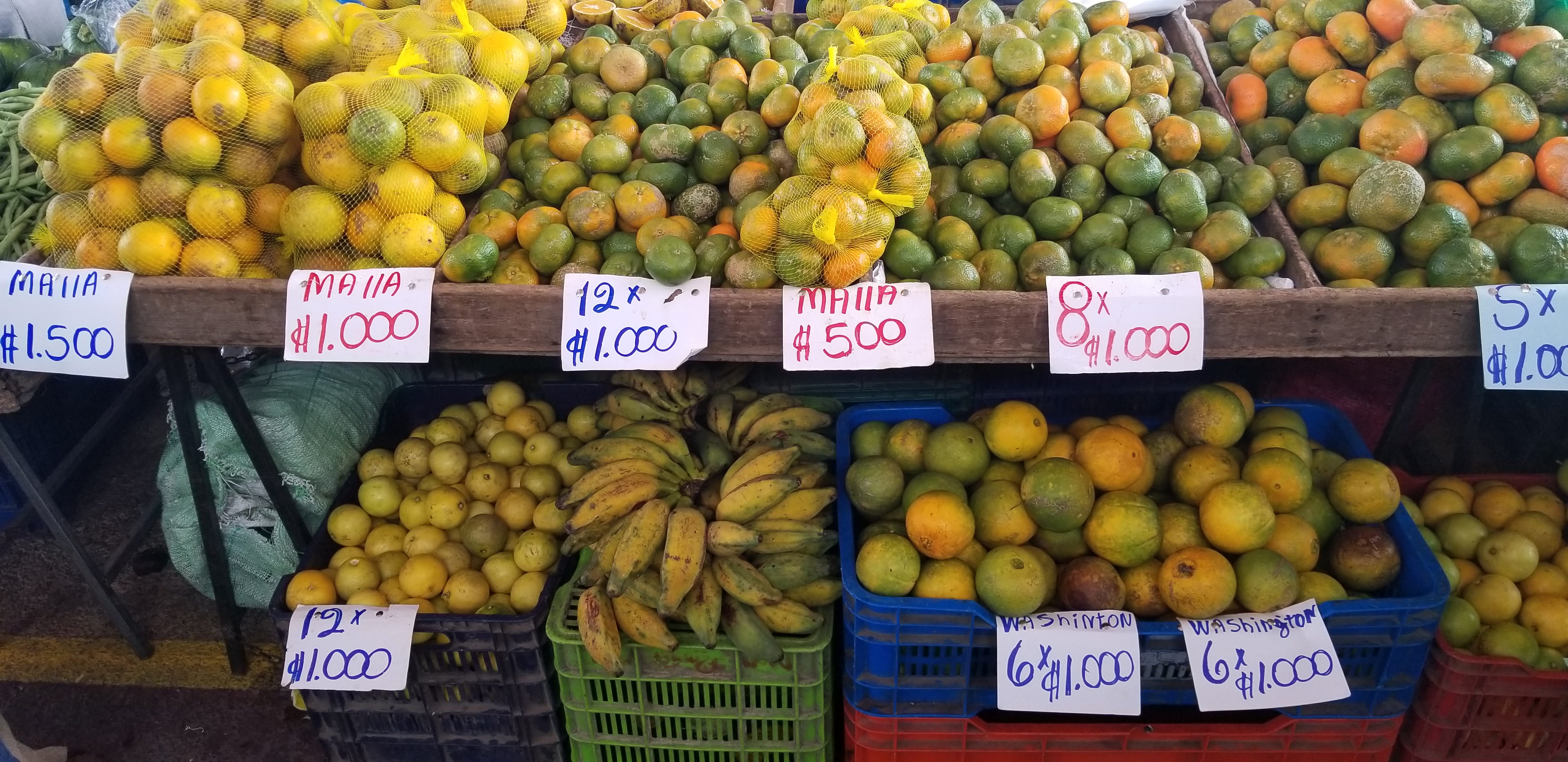 Costa Rica real estate investment and capital gains tax concept