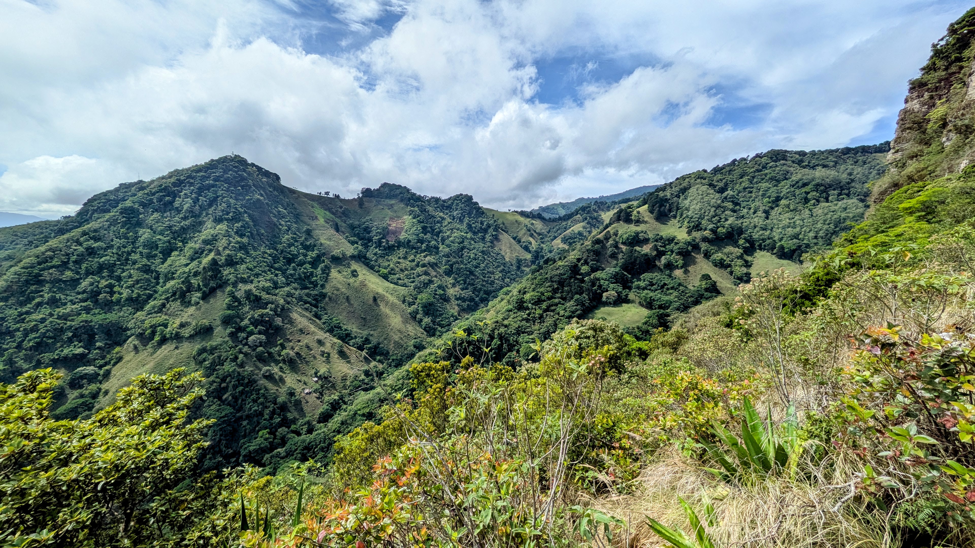 Buyer representation in Costa Rica