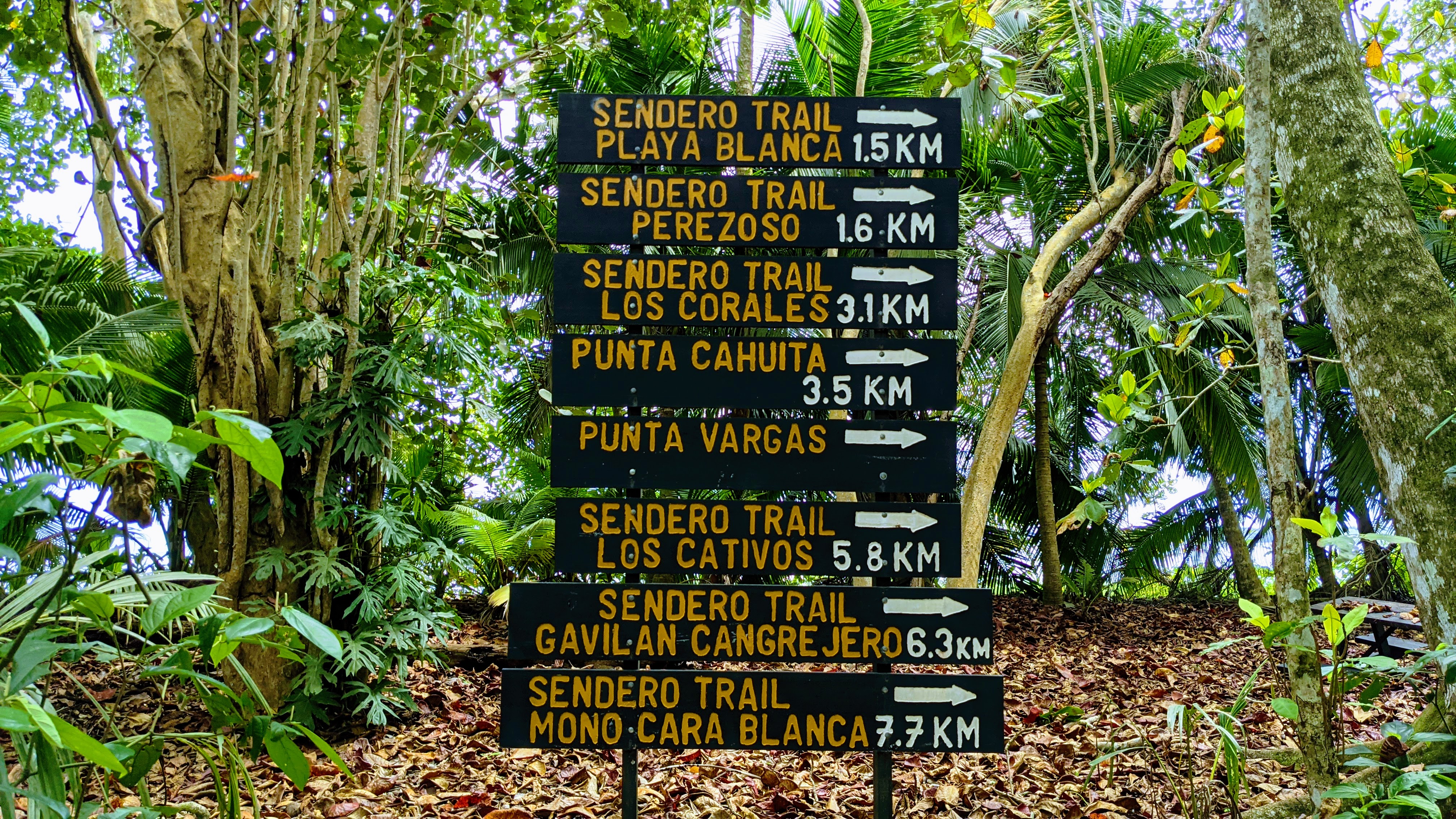 Costa Rica property landscape