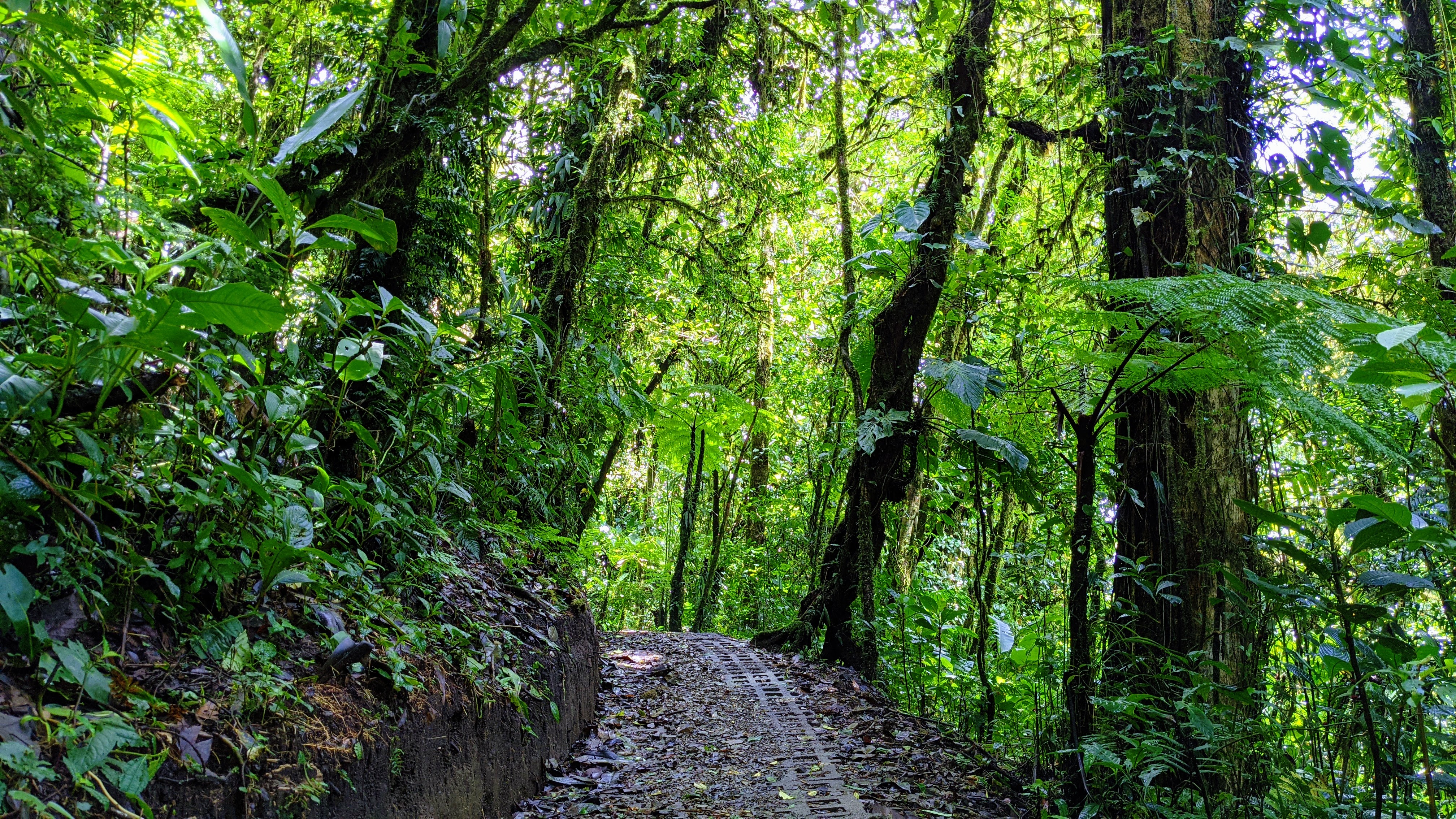 Costa Rica regional investment landscape
