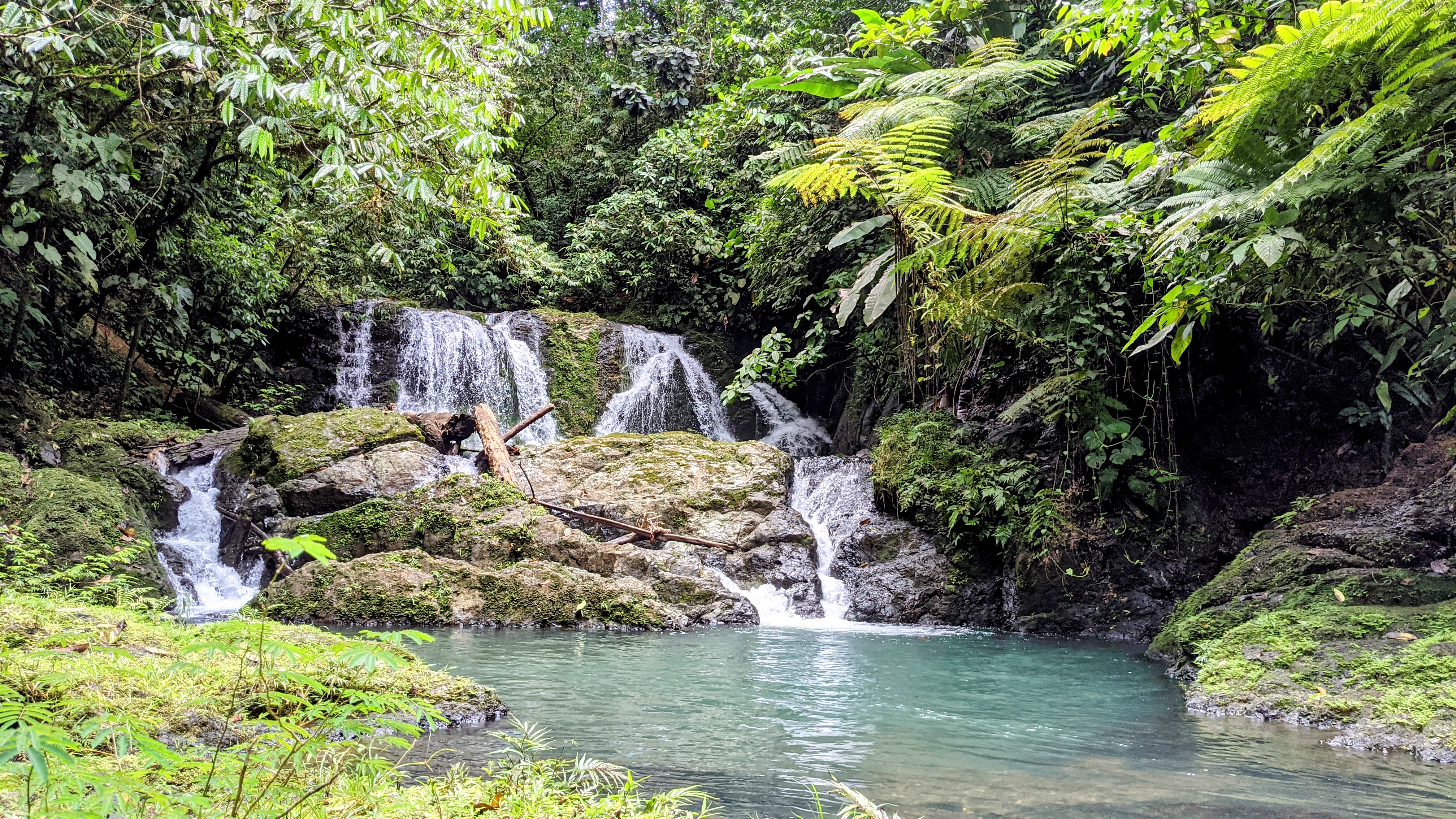Southern Zone Costa Rica rainforest and waterfall landscape